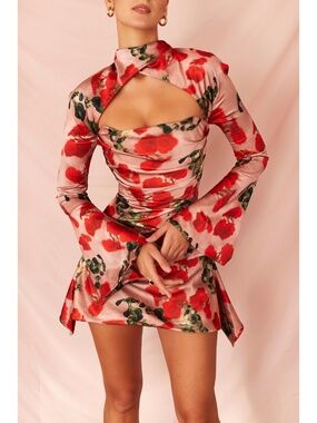 NEW House of CB Toira Dress Rose Print Small